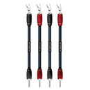 ThunderBird Bi-Wire Jumpers