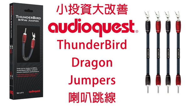 小投資大改善 -- AudioQuest ThunderBird 及 Dragon Jumpers 喇叭跳線