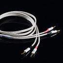 Pulse XminiS Speaker Cable