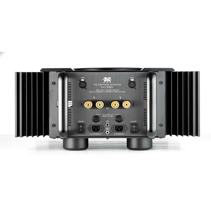 Antileon EVO Stereo / Mono Power Amplifier
