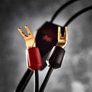 Vanta Speaker Cable 喇叭線