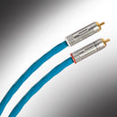 Guideline Reference Interconnect 指引 訊號線