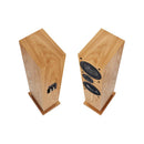 Response DT8 二路三單元座地揚聲器