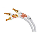 XL Annorum 喇叭線