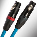 Guideline Reference Interconnect 指引 訊號線