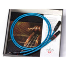 Guideline Reference Interconnect 指引 訊號線